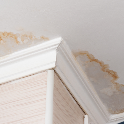 Water Damage Restoration